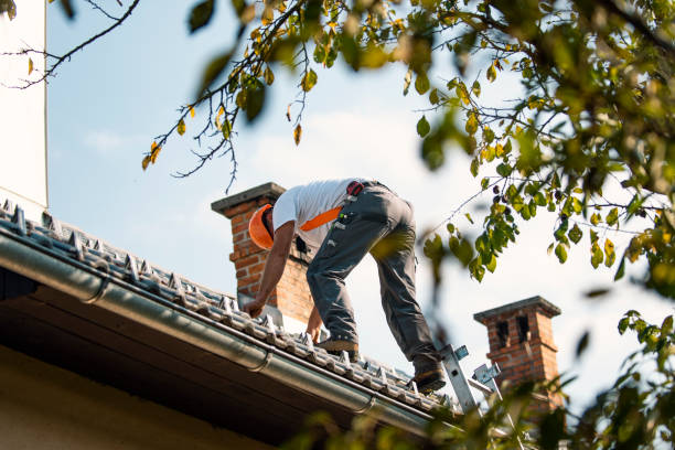 Best Gutter Installation and Repair  in Avoca, PA