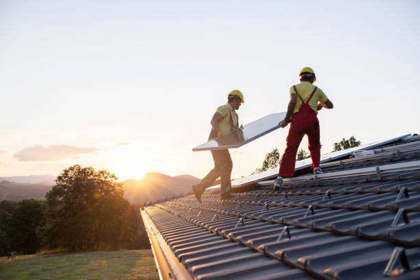 Best Roof Moss and Algae Removal  in Avoca, PA
