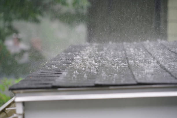 Trusted Avoca, PA Roofing Experts