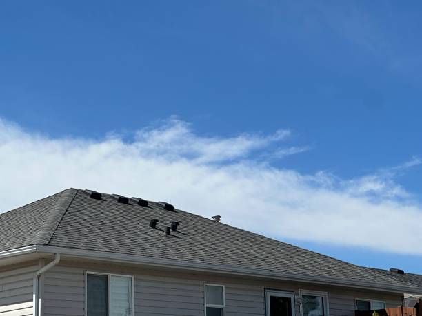 Asphalt Shingles Roofing in Avoca, PA